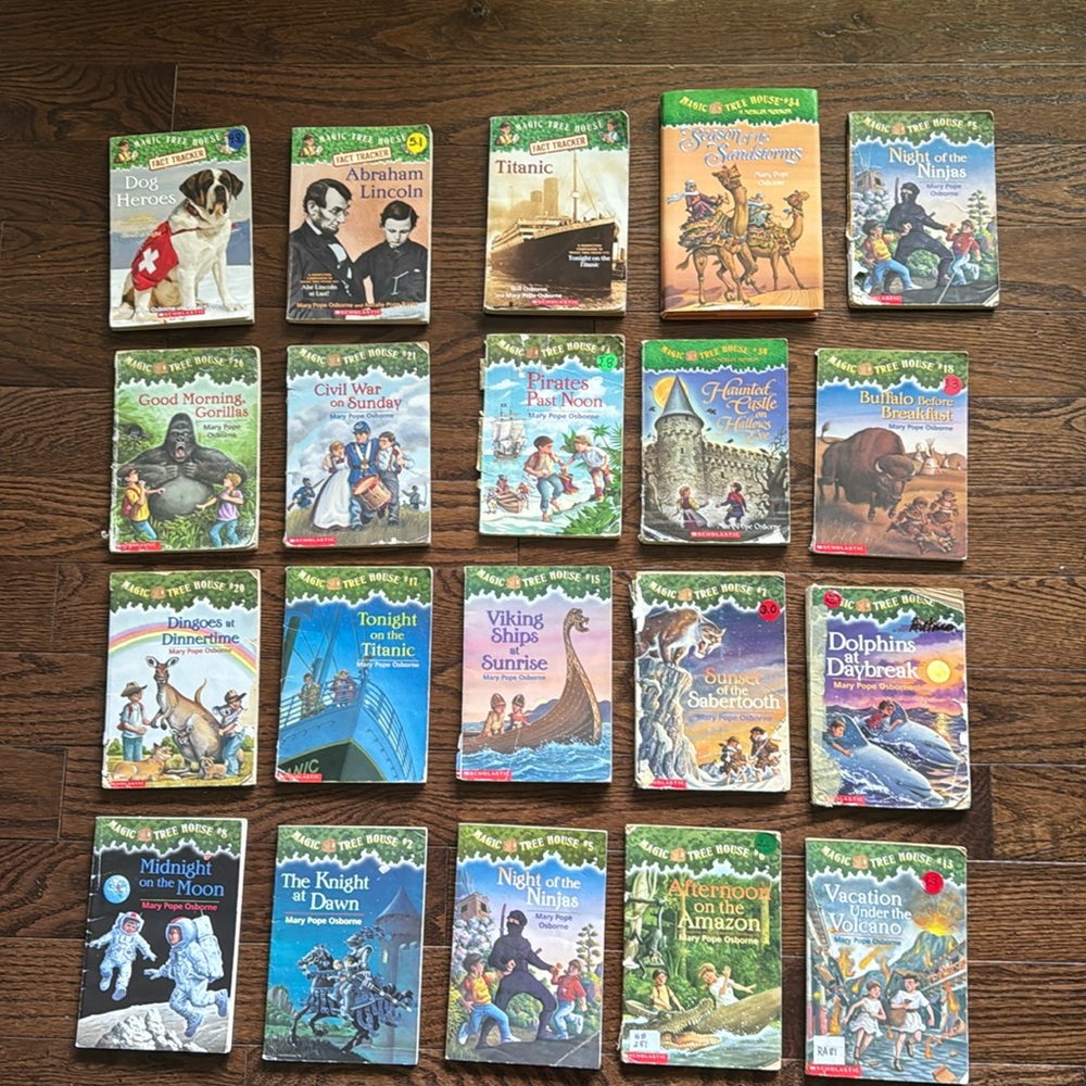 MAGIC TREE HOUSE BOOKS LOT of 20!